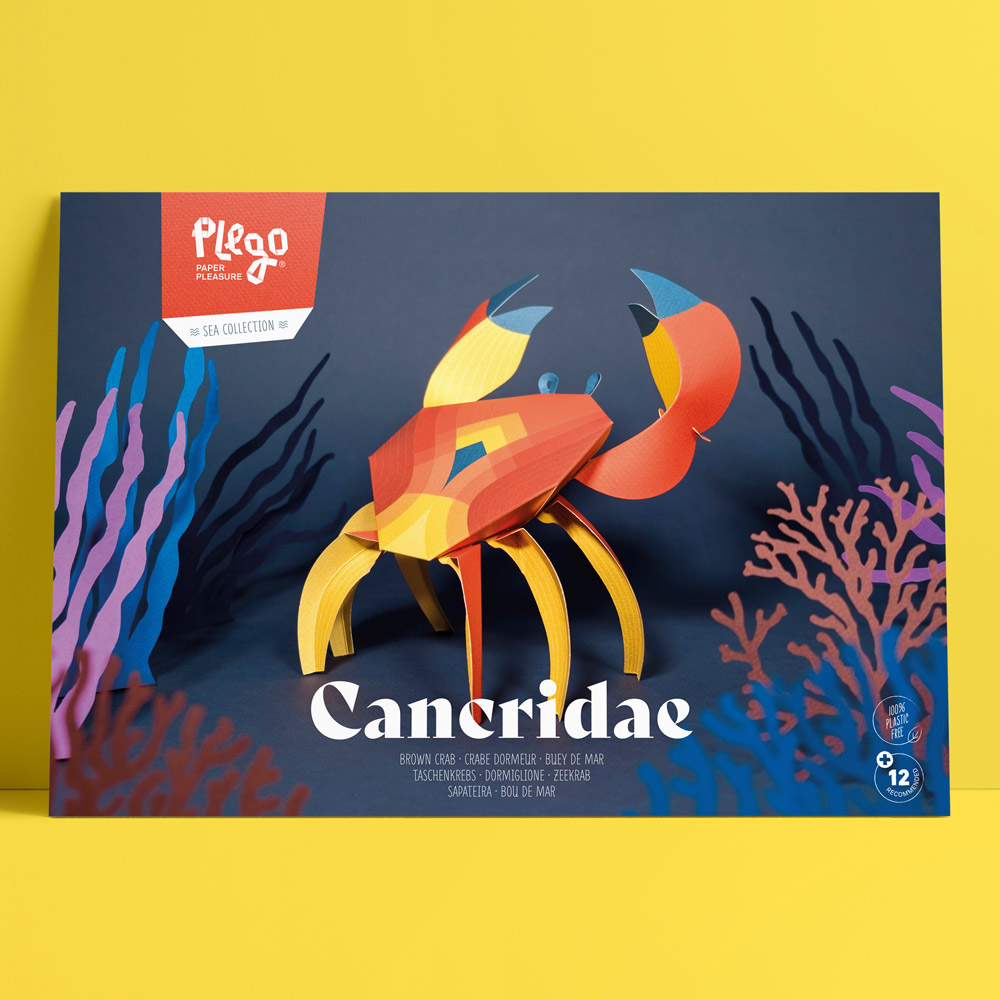 Cancridae