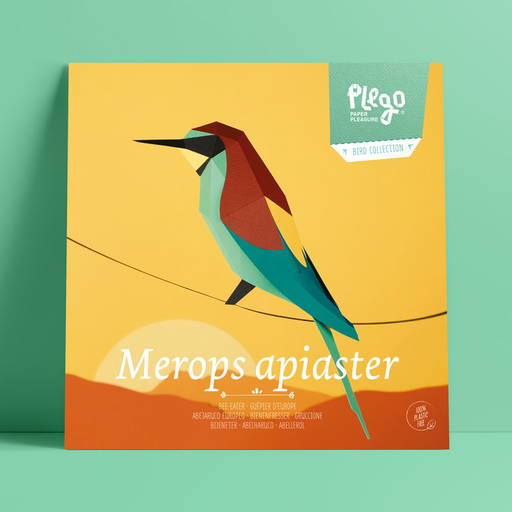 Merops apiaster