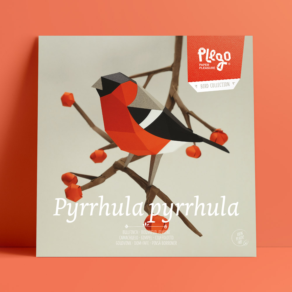 Pyrrhula pyrrhula