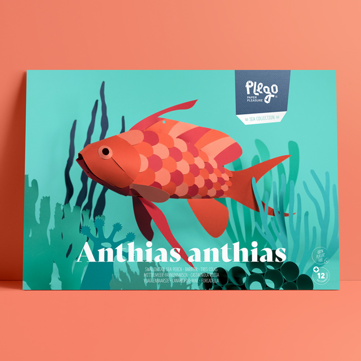 Anthias anthias