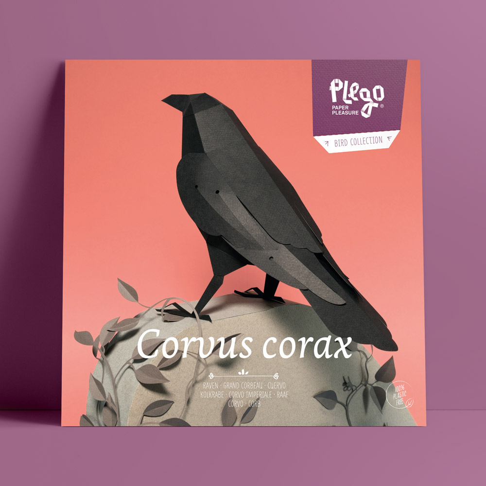 Corvus corax