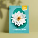 Plego Nymphaea alba art craft