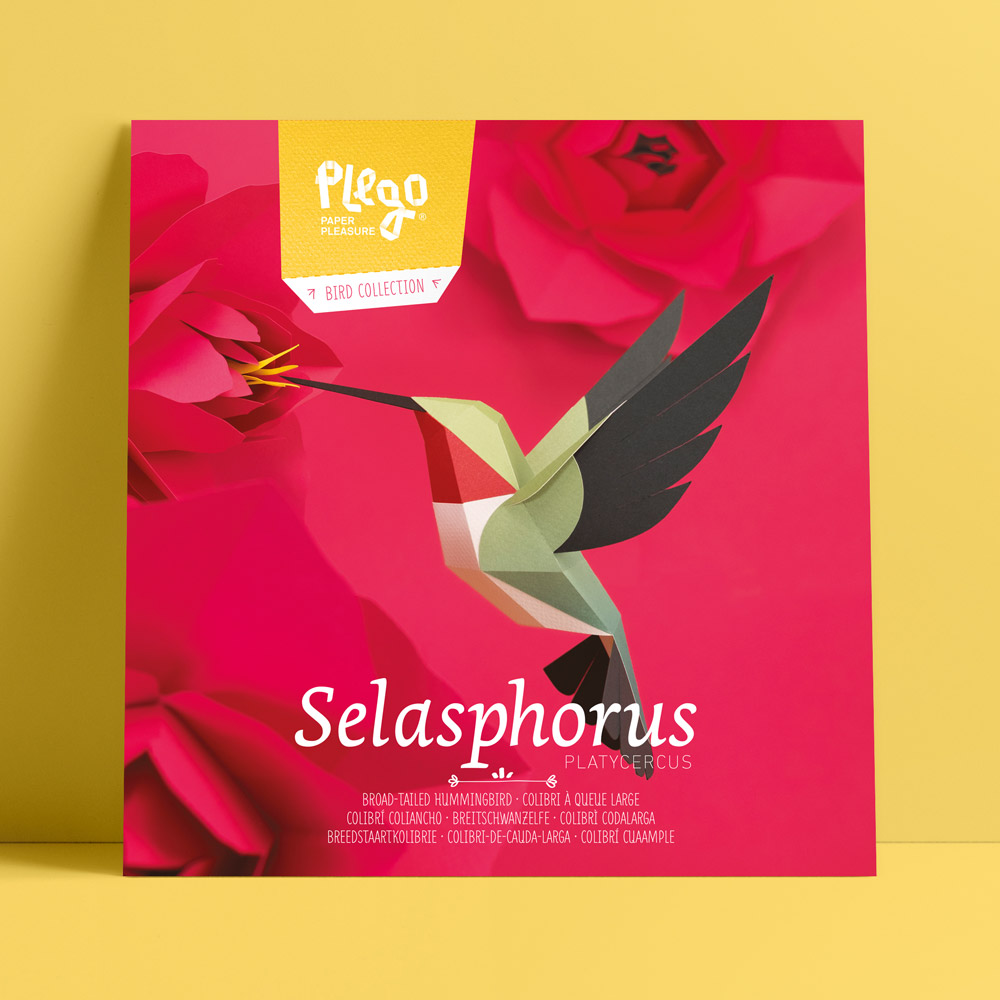 Selasphorus Platycercus
