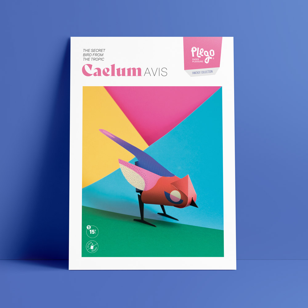 Caelum Avis