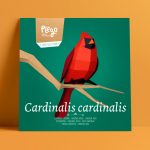 Cardenal roig plego