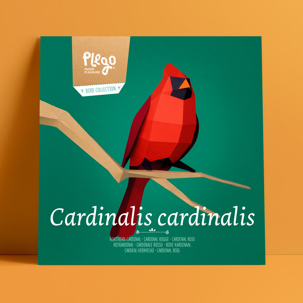 Cardenal roig plego